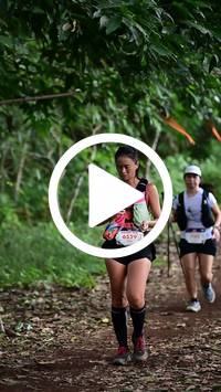 BIB:  <button type="button" onclick="openModal(27521333)" class="btn btn-primary btn-sm float-right" data-toggle="modal" data-target=".modal-high-quality">
                <i class="fa fa-download"></i> Download
                </button>